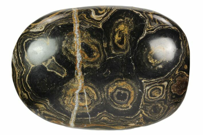 Polished Stromatolite (Greysonia) Pebble - Bolivia #126351